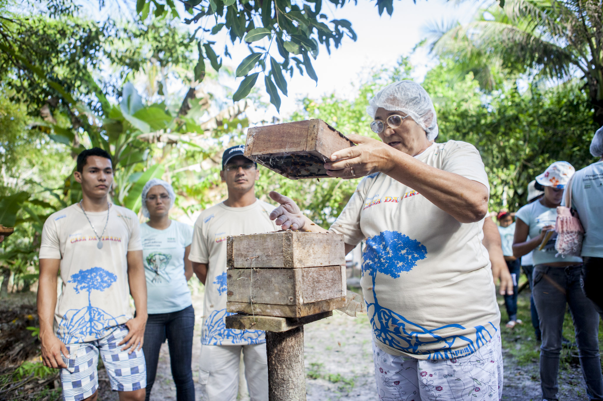 Meliponicultoras de Curuçá produzem e comercializam mel de abelhas nativas da Amazônia no próprio quintal de casa. Foto: Rafael Araújo