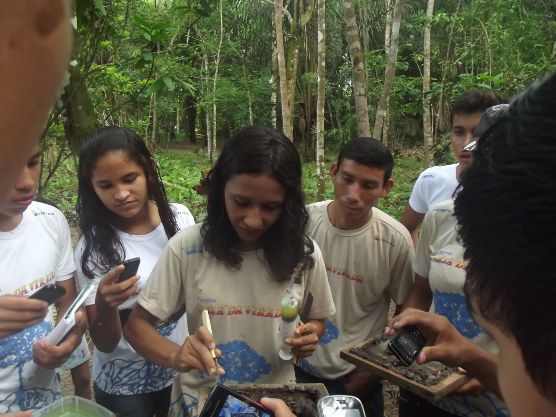 Jovens aprendem sobre estrutura das colmeias. 