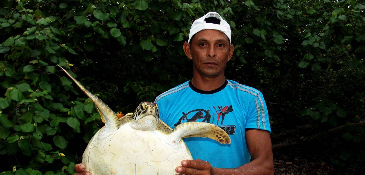 Pescadores monitoram tartarugas marinhas ameaçadas no litoral paraense
