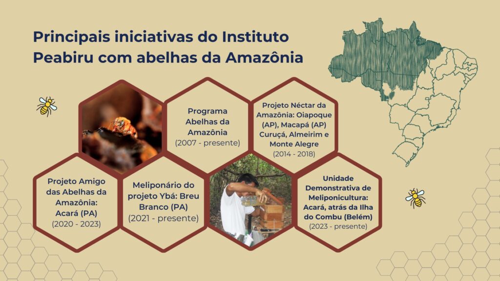 Principais iniciativas do Instituto Peabiru com abelhas da Amazônia